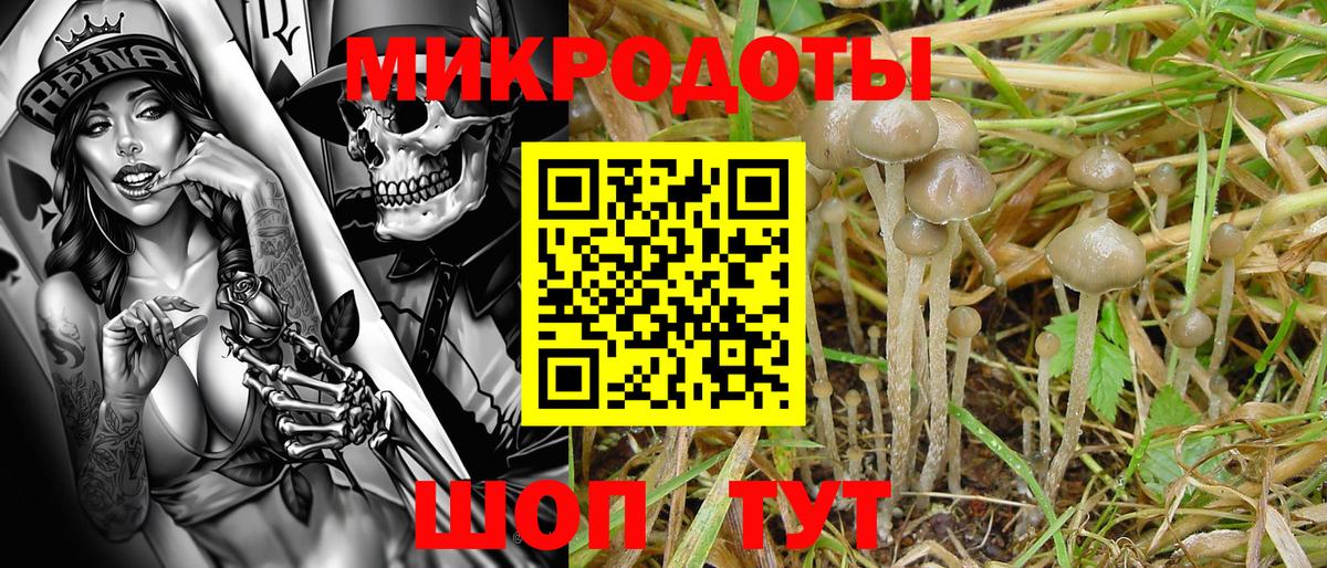 Нефтекамск  Псилоцибиновые грибы прущие грибы  Вход с VPN 
