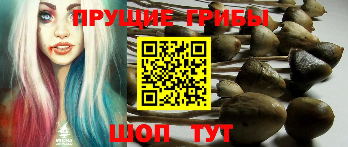 Псилоцибиновые грибы мицелий Нефтекамск